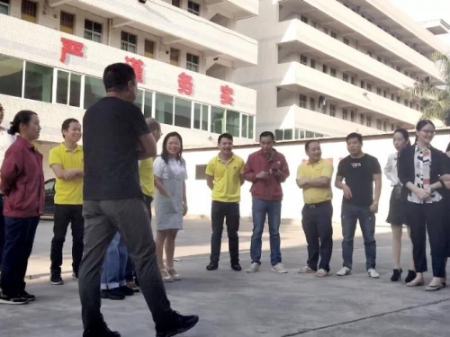 意气风发，且看伊美少年！